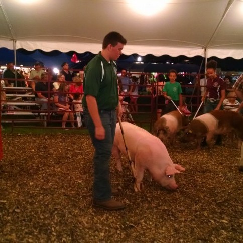 Montgomery County Live Stock Club