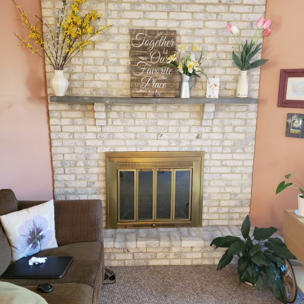Fireplace Remodel Before
