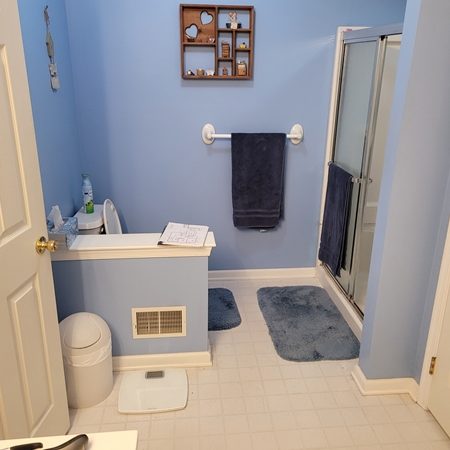 Master Bathroom Renovation Before